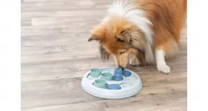 Hlavolam pro psy Dog Activity FLIP & FUN Hlavolam pro psy Dog Activity FLIP & FUN